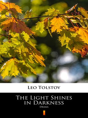 cover image of The Light Shines in Darkness